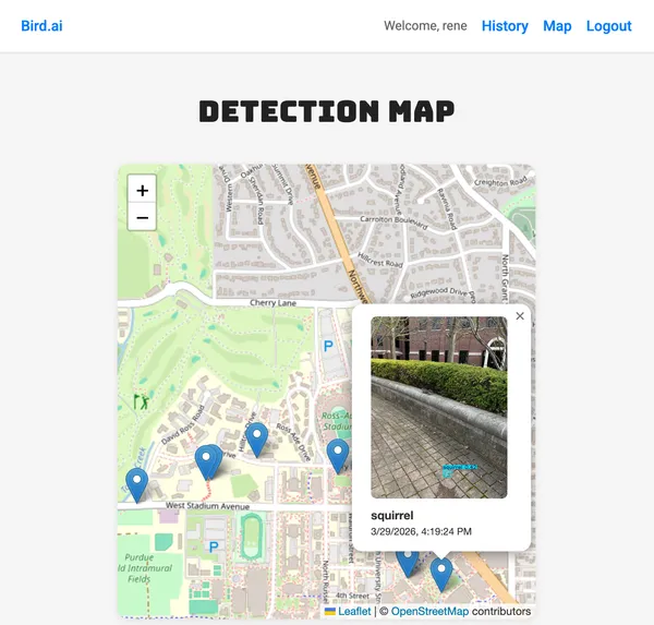 bird.ai map
